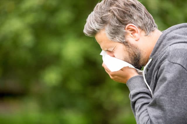 Antistaminico Naturale I Rimedi Green Che La Natura Ci Offre