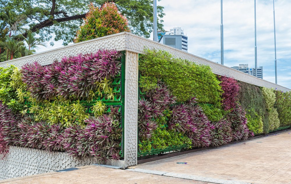 Cos'è un giardino verticale: benefici, esempi e tecniche costruttive