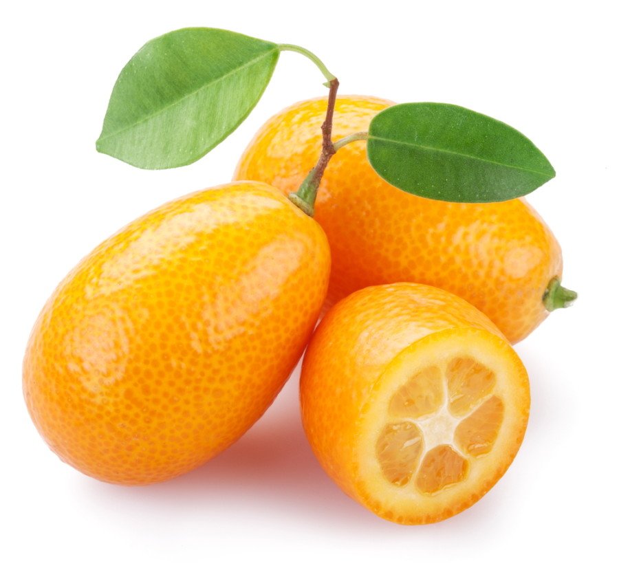 kumquat-propriet-e-utilizzi-della-fortunella-o-mandarino-cinese