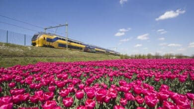 Treni-biblioteche