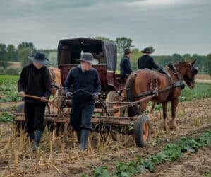 La comunità Amish è ecologica senza saperlo?