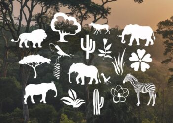 Map of Life: per sapere tutto su animali e piante nel mondo