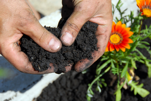 acidificare-il-terreno-suolo-cementificazione-consumo-designlan