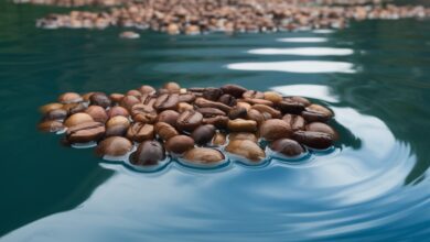 Caffé nell'oceano, un nuovo tipo di inquinamento