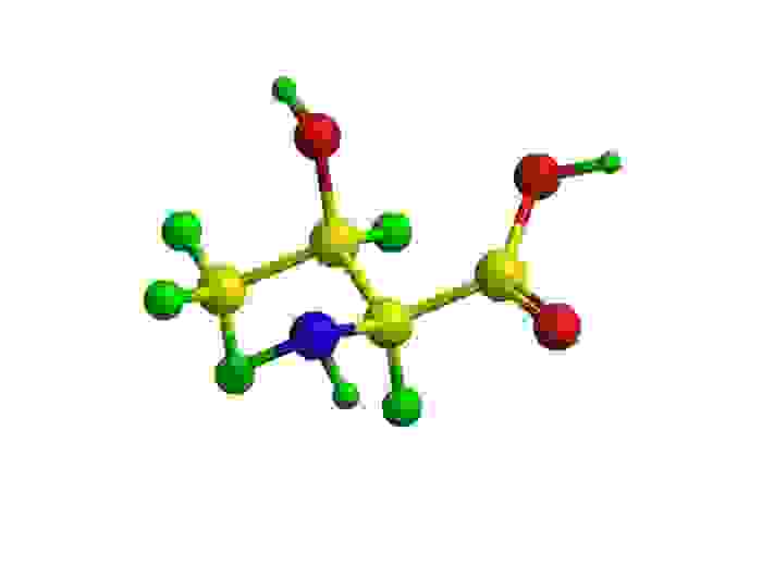 Aminoacidi Essenziali Quali Sono E A Cosa Servono