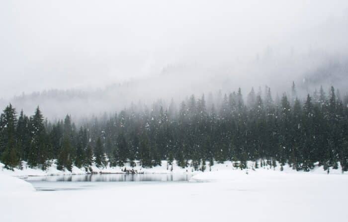 Le più belle foto dell'inverno