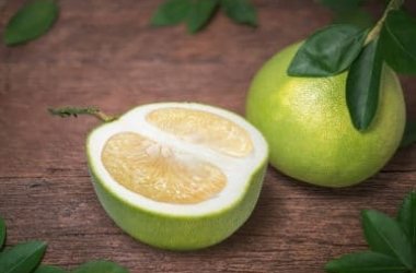 Guide des propriétés et des bienfaits du pomelo, un agrume originaire de Porto Rico