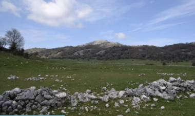 Scoprite il Parco naturale dei Monti Lucretili