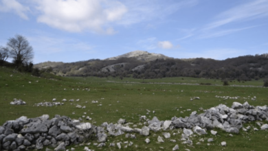 l Parco nazionale dei Monti Lucretili