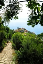 Sono 10 i parchi in pericolo in Italia