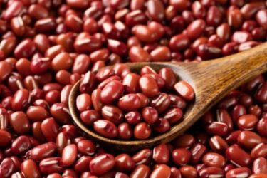 Fagioli Azuki: Proprietà E Caratteristiche Nutrizionali