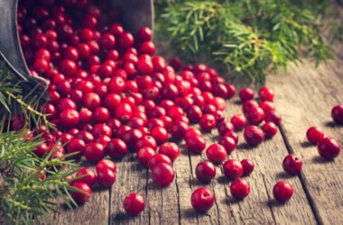 Cranberry, la canneberge d'Amérique idéale pour lutter contre la cystite