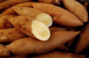Yacon : la carotte sucrée qui est un super aliment