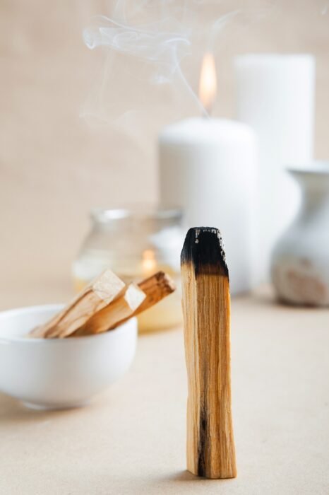 5 tipi di palo santo per purificare casa