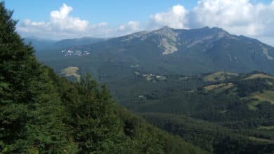 Parco nazionale dell’Appennino tosco-emiliano