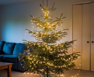 Come mettere le luci sull’albero di Natale: i nostri consigli