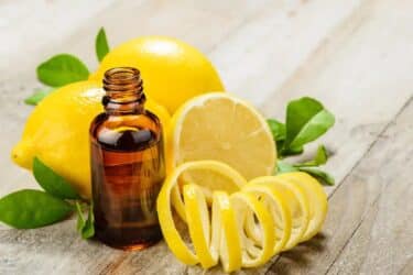 Come usare l’olio essenziale di limone: le proprietà e i vari impieghi