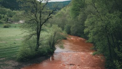 Il mistero del fiume che diventa rosso