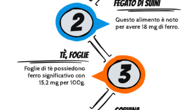 Alimenti più ricchi di ferro